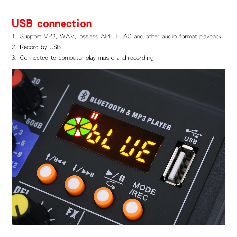 Professional Audio Mixing Console & Wireless Mic Set